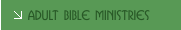 Adult Bible Ministries